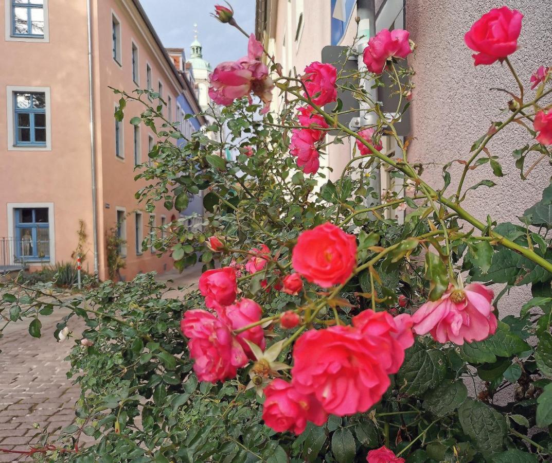 Fynbos Apartments In Der Altstadt, Frauenkirche, Historisch, Parkplatz Meissen Extérieur photo