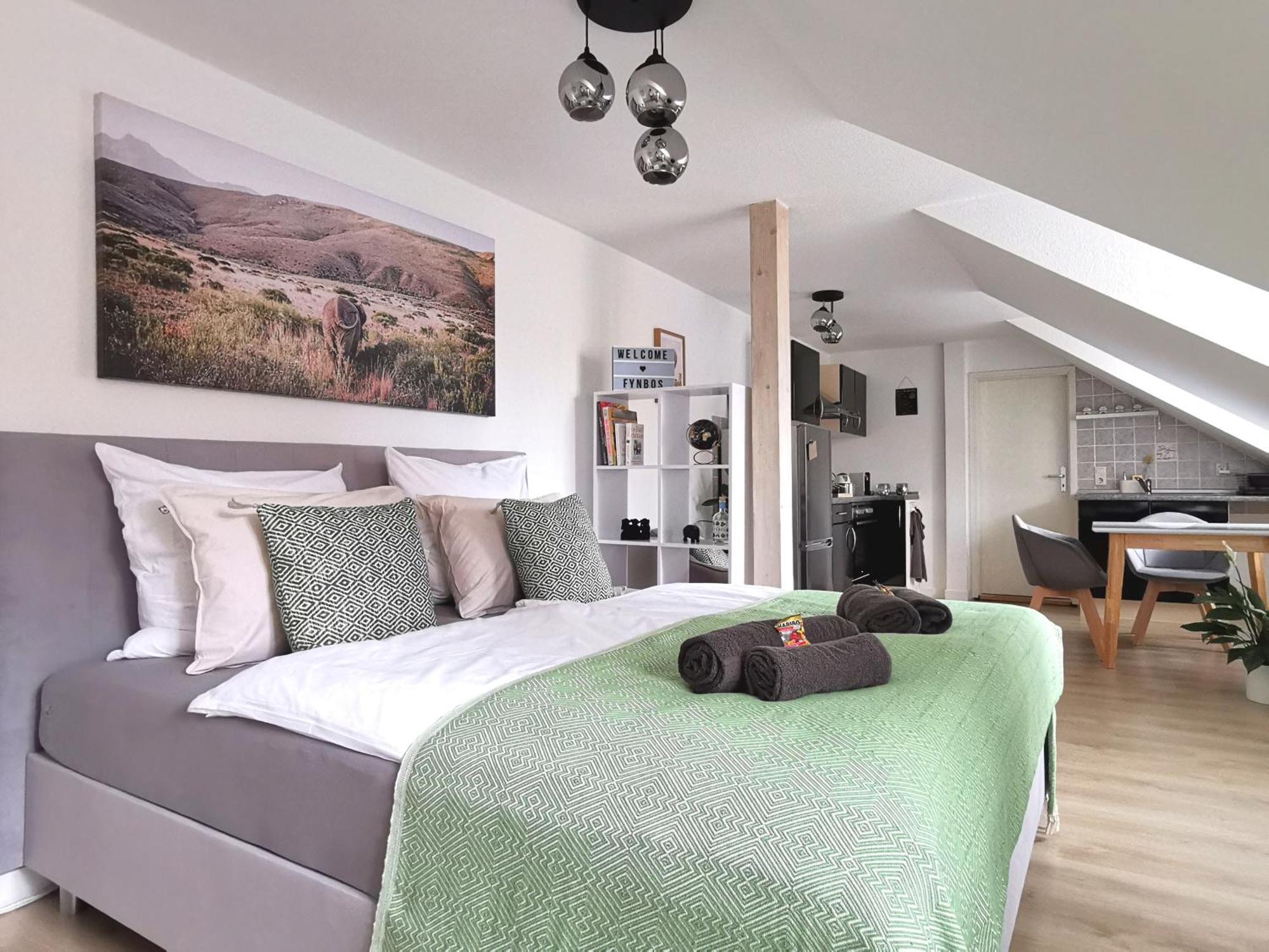Fynbos Apartments In Der Altstadt, Frauenkirche, Historisch, Parkplatz Meissen Chambre photo